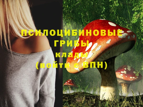 твердый Баксан