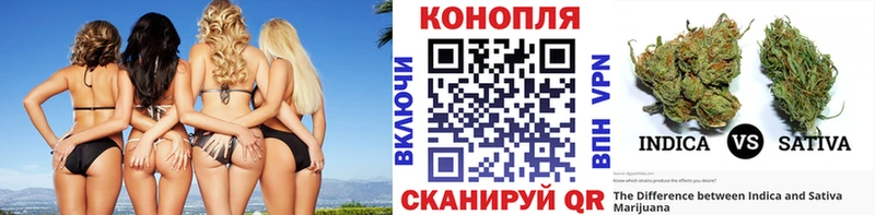 Шишки марихуана MAZAR  даркнет сайт  Белёв 